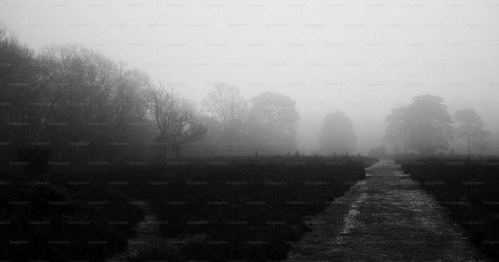 Chemin brumeux vers la lumiere - processus de deuil